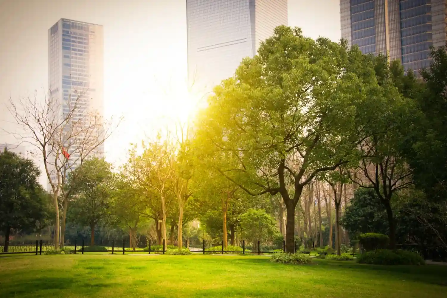 Parque arborizado com prédios ao fundo iluminados pelo sol