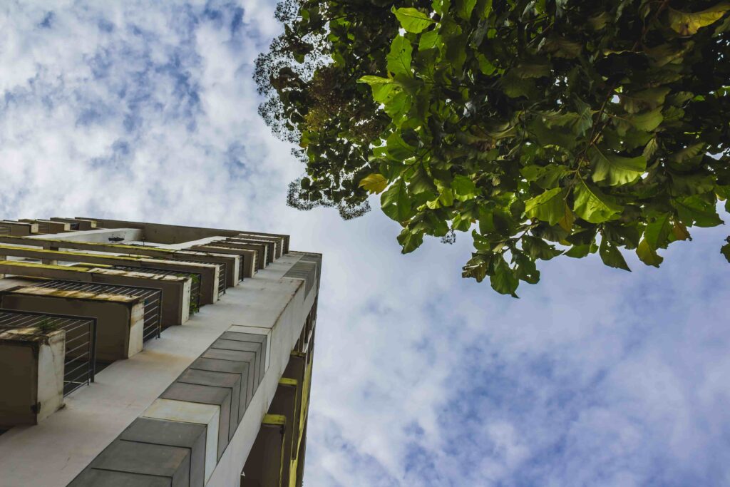 Responsabilidade social na construção civil: por que ela é essencial?
